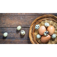 Какое яйцо все же полезнее-куриное, или перепелиное?