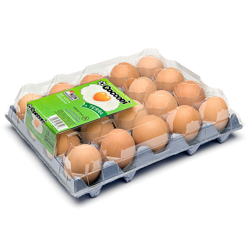 Яйцо куриное производитель. Лоток яиц 20. Упаковка для яиц. Яйца куриные в упаковке. Пластиковая упаковка для яиц.