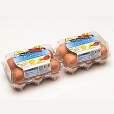  Упаковка для яиц Vision 2x6 US